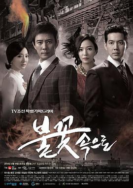 衢州seo优化运营